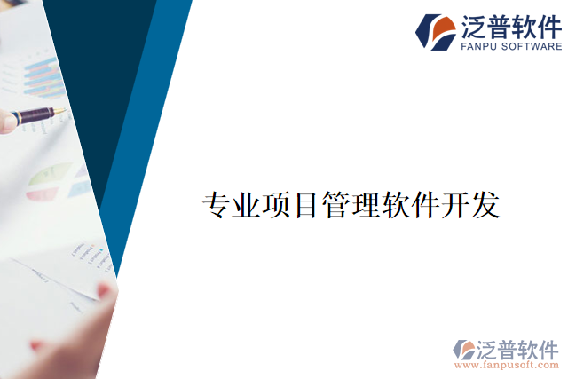 專(zhuān)業(yè)項(xiàng)目管理軟件開(kāi)發(fā)