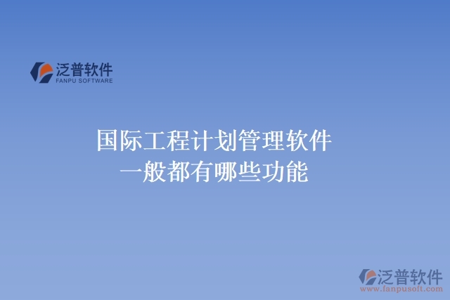 國際工程計劃管理軟件一般都有哪些功能