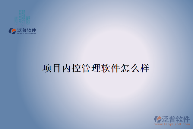 項(xiàng)目?jī)?nèi)控管理軟件怎么樣