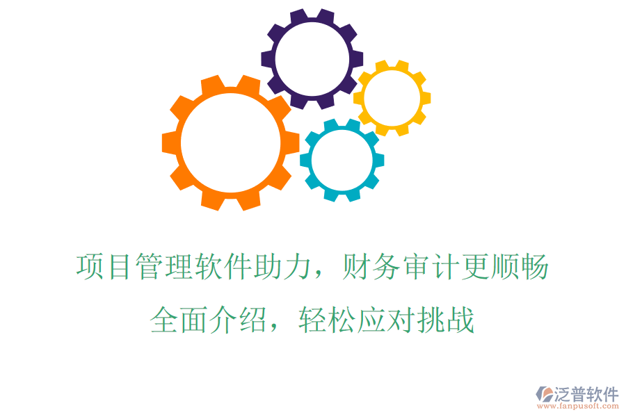 項(xiàng)目管理軟件助力，財(cái)務(wù)審計(jì)更順暢，全面介紹，輕松應(yīng)對(duì)挑戰(zhàn)