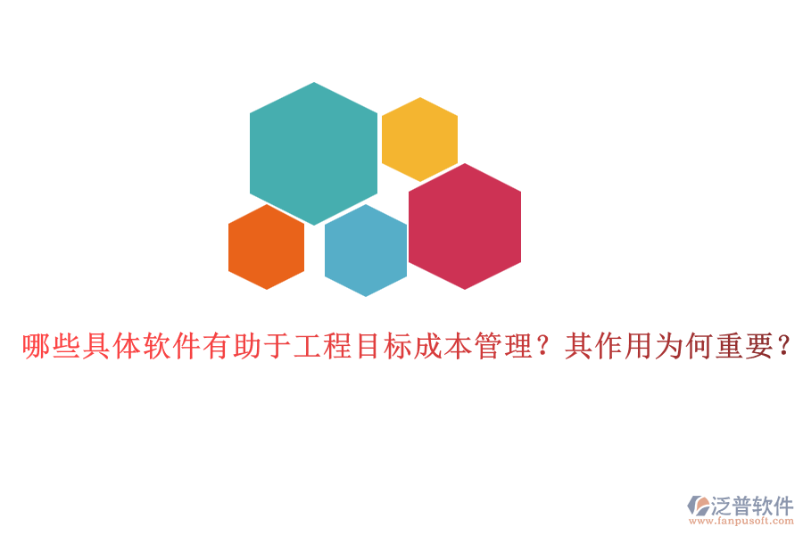 哪些具體軟件有助于工程目標(biāo)成本管理？其作用為何重要？